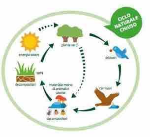 CICLO NATURALE CHIUSO E CICLO ARTIFICIALE APERTO Sulla Terra non c è posto per i rifiuti: la natura ricicla tutto ciò che produce L uomo, invece, CONSUMA le risorse per produrre