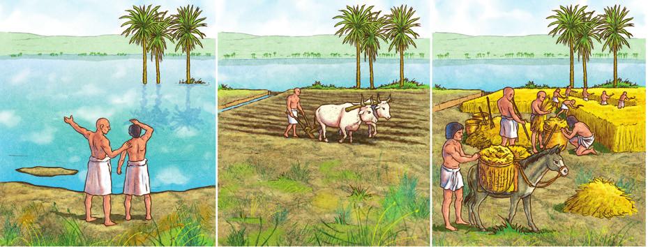 Quaderno p. 26 STORIA L importanza del Nilo Il Nilo era ricco di pesci e uccelli e garantiva agli abitanti cibo in abbondanza. Lungo le sue rive crescevano spontaneamente canne e papiri.