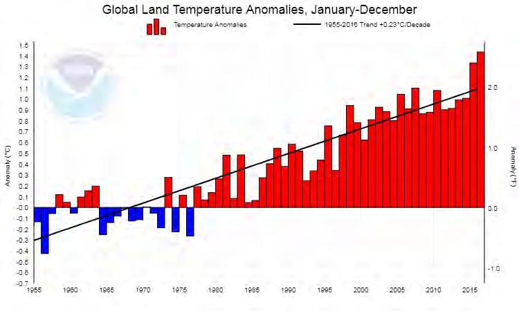 I cambiamenti delle temperature a livello globale VARIAZIONE TEMPERATURA GLOBALE dal 1955 AUMENTO