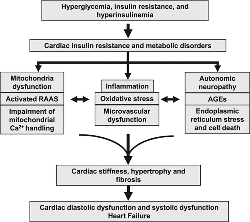 Diabetic Cardiomyopathy, Volume: 122, Issue: 4,