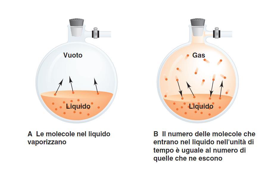 Tensione di Vapore E la pressione esercitata dal vapore in equilibrio con il proprio liquido ad una data temperatura (è una misura della volatilità di un liquido, cioè della sua tendenza ad