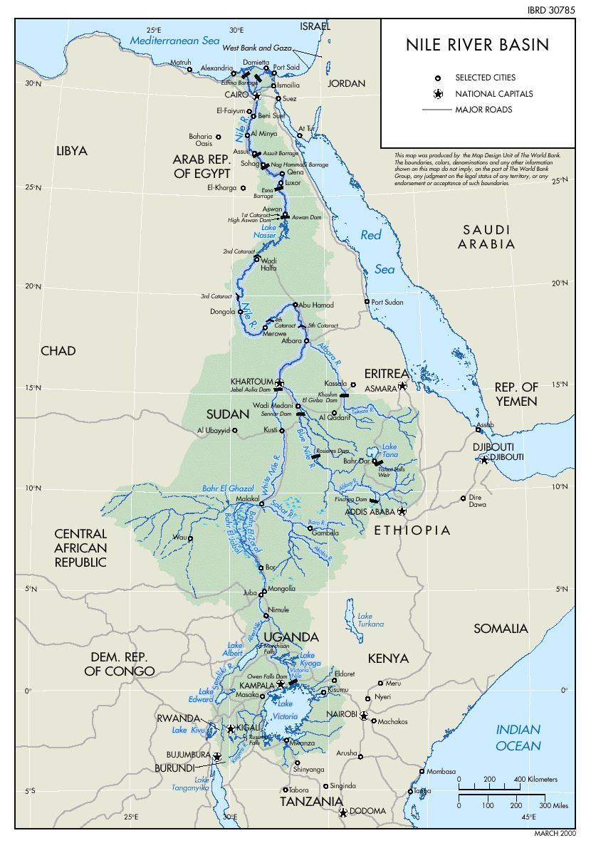 Il problema del Nilo Quattro paesi lungo il bacino del Nilo Progetti già attivi per 5,4 milioni di ettari Altri progetti per 8,6 milioni di