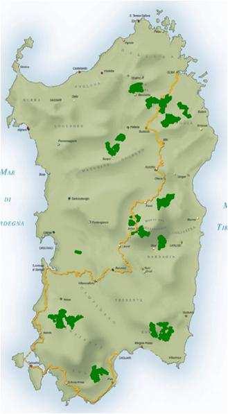 La Pianificazione Forestale particolareggiata nelle F.D.