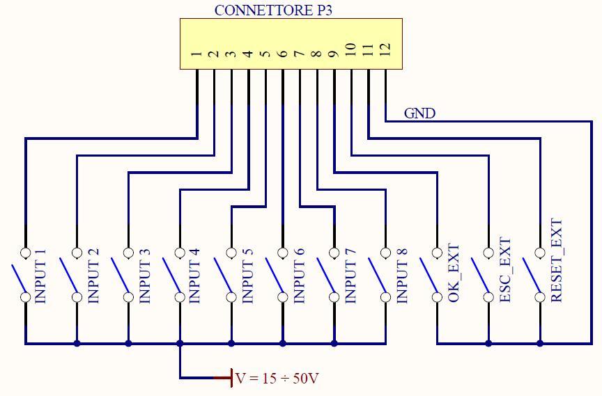 CONNETTORE P3 12 pin: PIN NOME FUNZIONE INPUT 1 INPUT 1 Pin per selezionare il programma 1 2 INPUT 2 Pin per selezionare il programma 2 3 INPUT 3 Pin per selezionare il programma 3 4 INPUT 4 Pin per