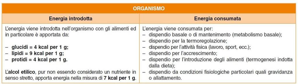 Alimentazione equilibrata L uomo, per vivere, ha bisogno di energia che deve essere garantita