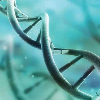 Application Note DNA 21533 DNA dsdna DNAPac RP HPLC DNAPac RP dsdna PCR DNA dsdna CRISPR-Cas9 DNA 1 SNPs