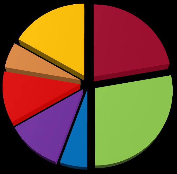 Settori lavorativi 17% 6,5% 16,5%