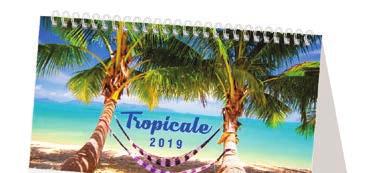 CALENDARI 18_2_Layout 1 07/06/18 11:21 Pagina 107 TROPICALE F05100-TRAVEL new F05100 TROPICALE 0,9000 Calendario da tavolo illustrato 13 ff.