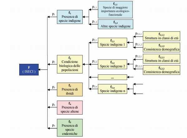 Figura 1: Struttura ad albero dell ISECI: i valori degli indicatori verso cui puntano le frecce sono calcolati tramite l aggregazione, pesata attraverso i pesi p dei valori di ordine inferiore;