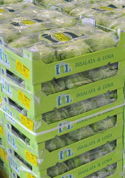 Unione Europea: - Aglio Bianco Polesano DOP - Insalata di Lusia IGP