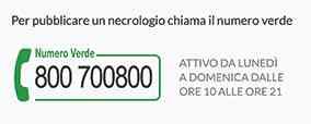 «Non si disponeva di nessuna certezza in quel clima dissestato e nichilistico ha scritto Boatto sulla mostra ma esisteva pur sempre il corpo, la sua vulnerabilità e le sue esperienze inevitabili