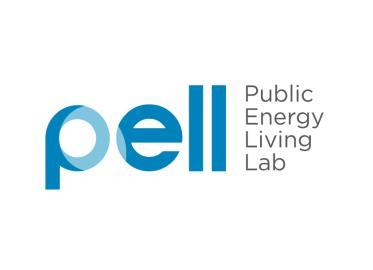 Introduzione l PELL PELL IP è collegto l Progetto Lumière, il cui obiettivo è promuovere l riorgnizzzione e riqulificzione degli impinti di pubblic illuminzione per grntire un servizio efficiente ed