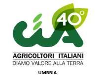 CIA INFORMA Newsletter della Confederazione Italiana Agricoltori dell Umbria DOPO LE NUMEROSE PROTESTE DELLA CIA UMBRIA FINALMENTE UN INCONTRO AD AGEA CON LA REGIONE TEMA DELL INCONTRO L