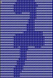 matrice dell immagine linearizzata (si rappresenta l immagine con un vettore di 1024 bit)