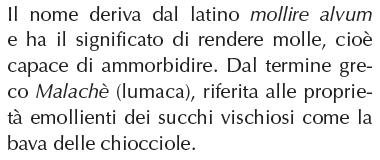 Molto ricca in mucillaginini è anche considerata una pianta officinale/medicinale.