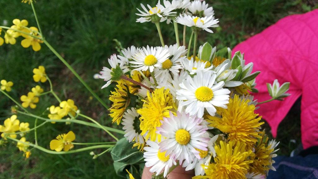 -grazie Dio perché hai fatto i fiori arancioni -grazie perché hai fatto le ciliegie che sono buonissime -che hai fatto il prato -perché hai fatto la pioggia che fa