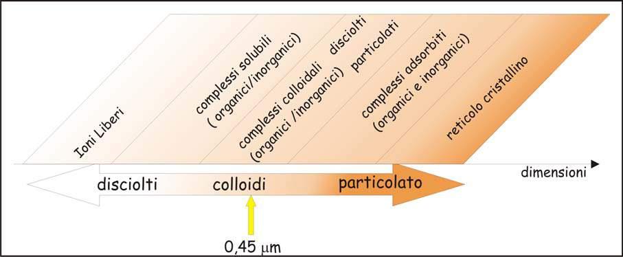 Allegato A possono anche precipitare a causa della variazione di condizione redox dovuta all ossigenazione in superficie del campione (Figura 4, Figura 5) come osservato da Mantelli et alii (2011)