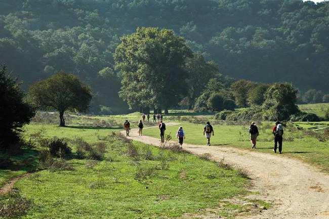 Riconoscimento Unesco Via Francigena, istituito gruppo di lavoro per l... http://www.sienafree.it/turismo/319-turismo/80312-riconoscimento-un... 1 di 3 27/04/2016 9.