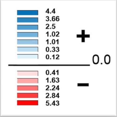 TREND IN VALORE PERCENTUALE DELLE FAMIGLIE TRA I PERIODI CONSIDERATI (differenza tra le variazioni percentuali del periodo dal 998 al 23 rispetto a quello da 23 al 28) Gottolengo Calvisano Fiesse