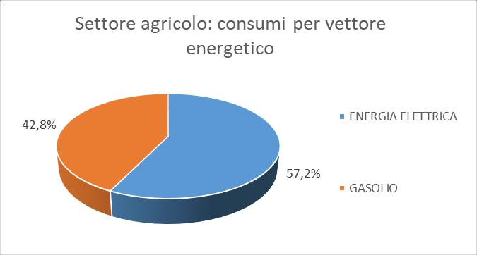 Come evidenziato nel grafico, oltre il 52% dei consumi del settore industriale è riconducibile al metano (per oltre l 85% tali consumi sono dovuti agli impianti di cogenerazione delle due cartiere).