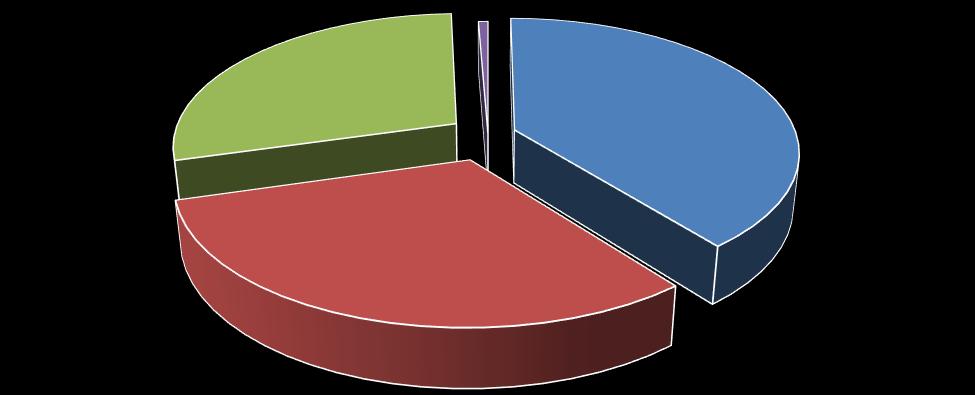 4.9. Evidenze emerse dai dati: criticità e potenzialità Ad una prima analisi dei dati raccolti ed elaborati emergono alcune evidenze da tenere in considerazione per la redazione della seconda parte