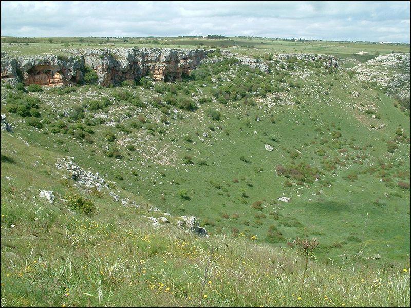 La grotta di Altamura, luogo di ritrovamento dello scheletro Fatto è comunque che il Tar e addirittura anche il consiglio di stato hanno riconosciuto gruppo scopritore della grotta il centro