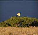 sociale nelle attività di gestione dell Oasi Ca Mello, che fa parte dei siti rete Natura 2000 gestiti da Veneto Agricoltura. Il progetto verrà presentato Mercoledì 3 luglio 2013 (ore 10.