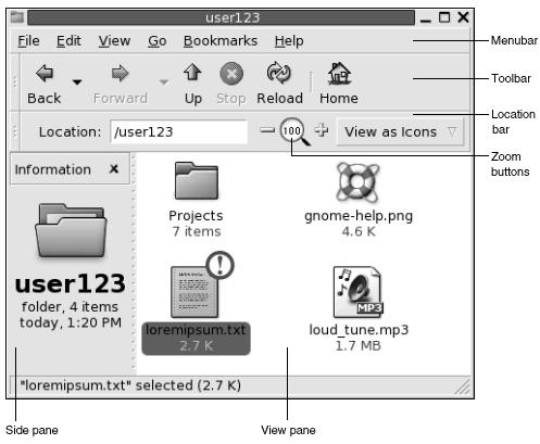 Le finestre del file manager permettono di visualizzare e gestire i file e le cartelle. Per aprire una finestra del file manager, fare doppio clic sull oggetto Documenti sul desktop.