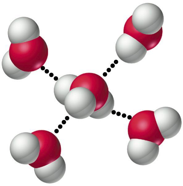 Ioni Idrossonio Quando H + è unito ad una coppia di elettroni dell atomo O di H 2 O, lo ione