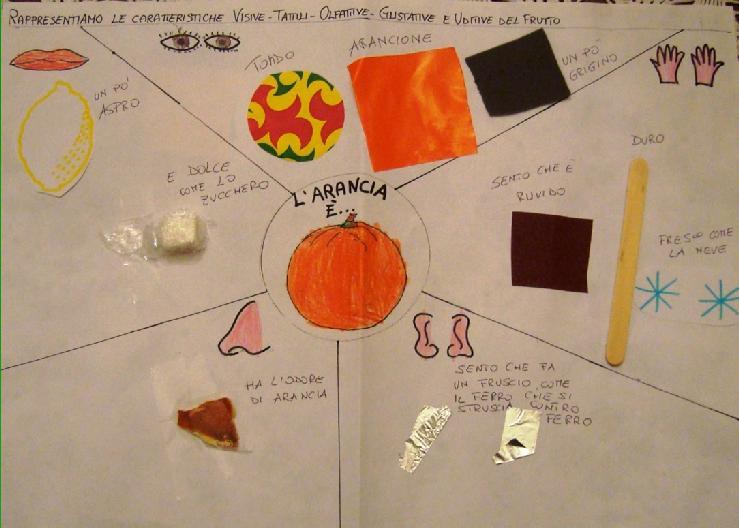 Viene fornita ai bambini una scheda con disegnato il frutto al centro ed una serie di spazi intorno, uno per ogni organo di senso, in cui disporre i