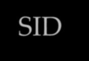 AMD-SID