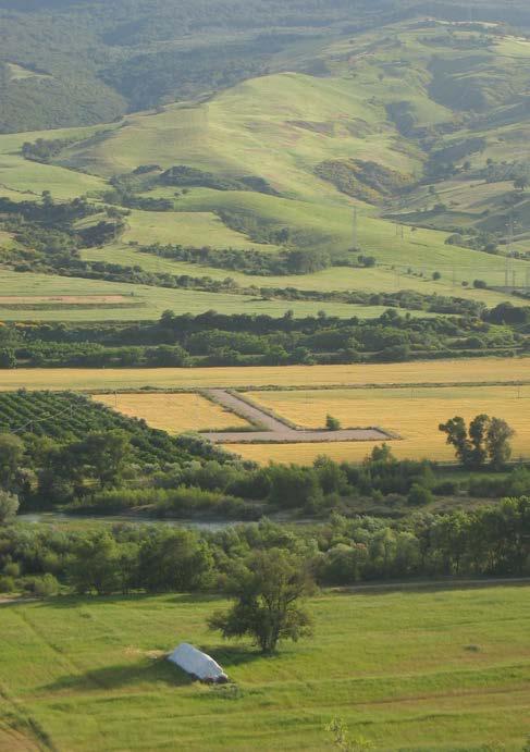 favorendo la distribuzione di aree abbandonate e non messe a produzione a imprenditori agricoli e coltivatori diretti, cioè quella categoria di persone che fanno dell agricoltura la loro attività