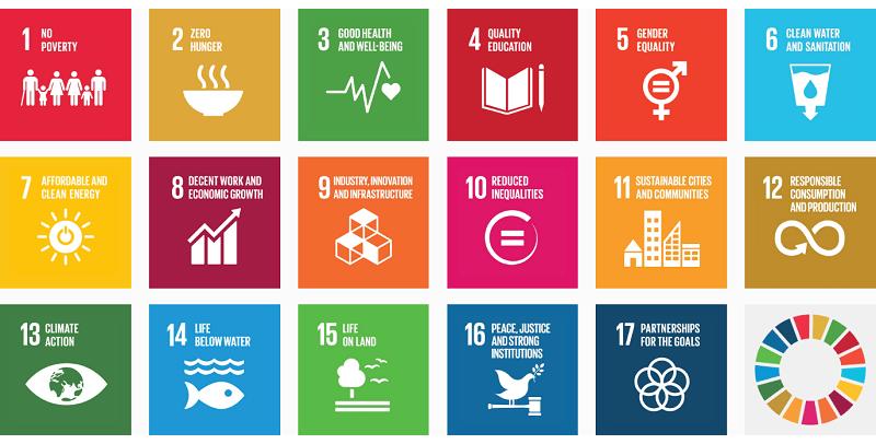 Gli SDGs 26 La