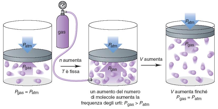 Descrizione Particellare aggiungendo molecole ad un recipiente, aumenta il numero totale di urti contro le pareti il