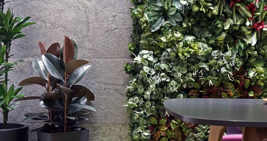 TRENDS Biophilic design I COLORI Ovvero: