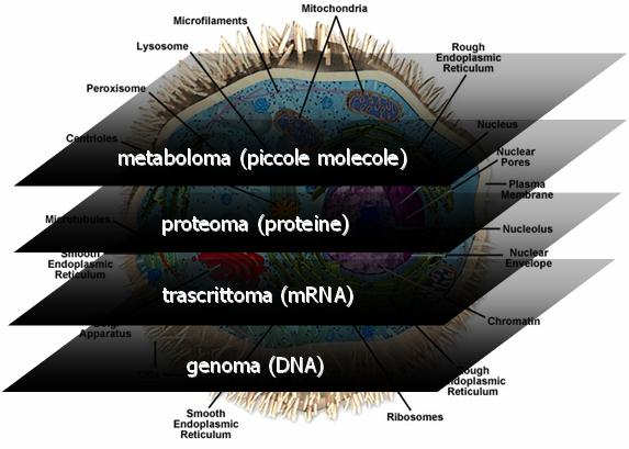 mrna Tutti i geni di una