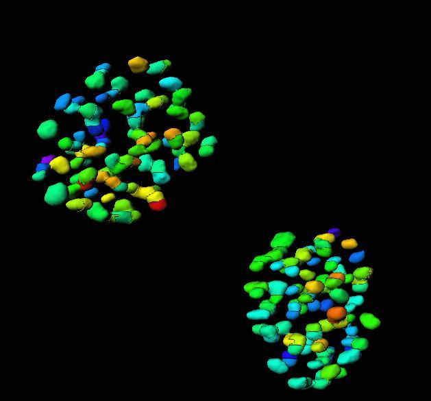 Iterazione proteina proteina Estrazione dei dati di