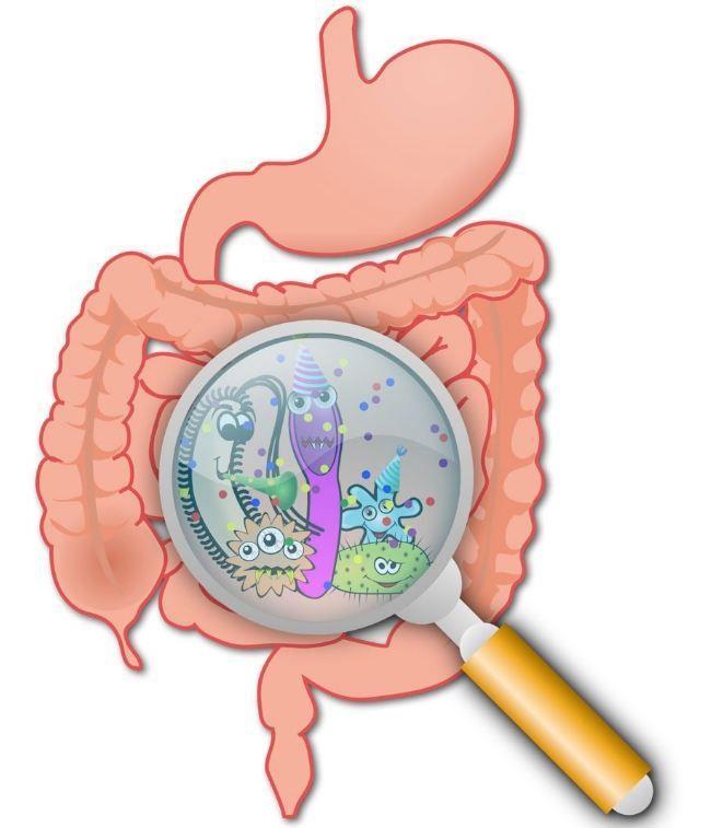 PROTOCOLLO ERAS IN CHIRURGIA ELETTIVA COLORETTALE 7 giorni