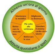 7 Raccomandazioni(2) Miglioramento della salute, la qualità di vita e il rendimento generale attraverso allenamento della resistenza tre volte a settimana (dai 20 ai 60 min) con intensità tale da