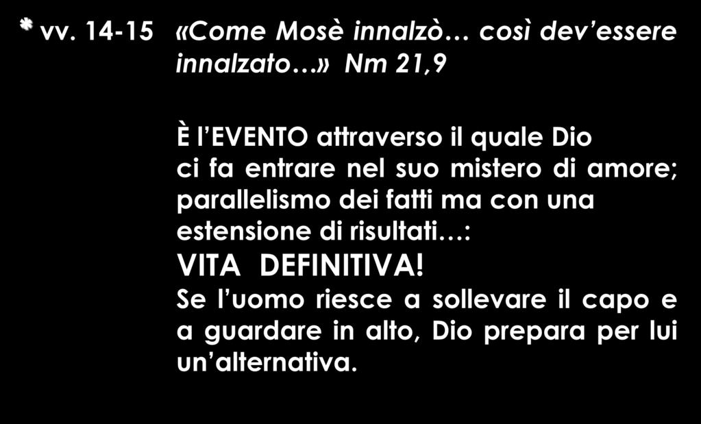 * vv. 14-15 «Come Mosè innalzò così dev essere