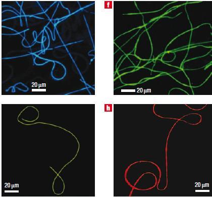 3, 614 (2008) A. Camposeo et al., Nano Lett.