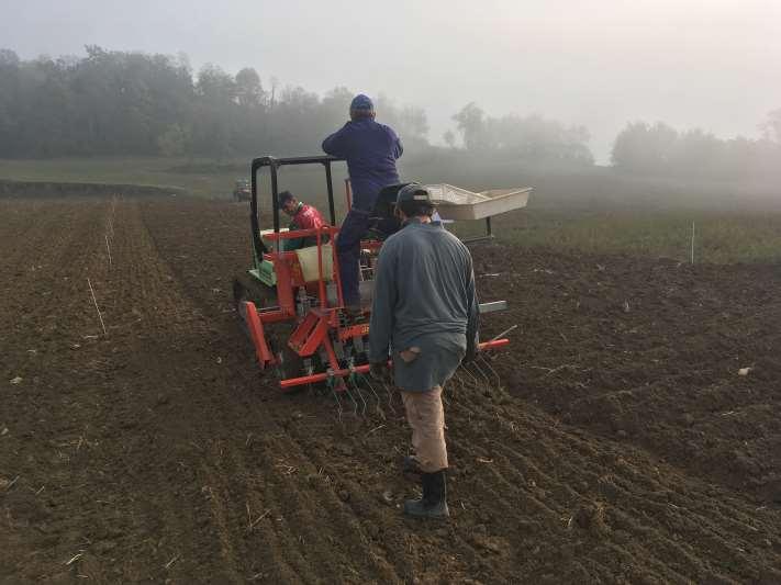 SOiLUTION Azienda Dallanoce Sala Mandelli di Nibbiano - PC Semina delle