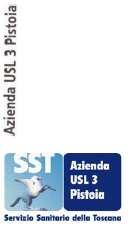 RELAZIONE ANNUALE DI RIESAME DELL ATTIVITÀ DI AUDIT AUDIT SVOLTI NELL ANNO 2010 (Modello n.14 dell allegato al Decr. Dirig. Reg.