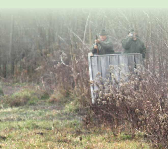 16 RISERVE DI CACCIA Riserva di caccia di PODUNAVSKO LOVIŠTE PLAVNA Bač La riserva di caccia di Plavna ha la superficie complessiva di 3.