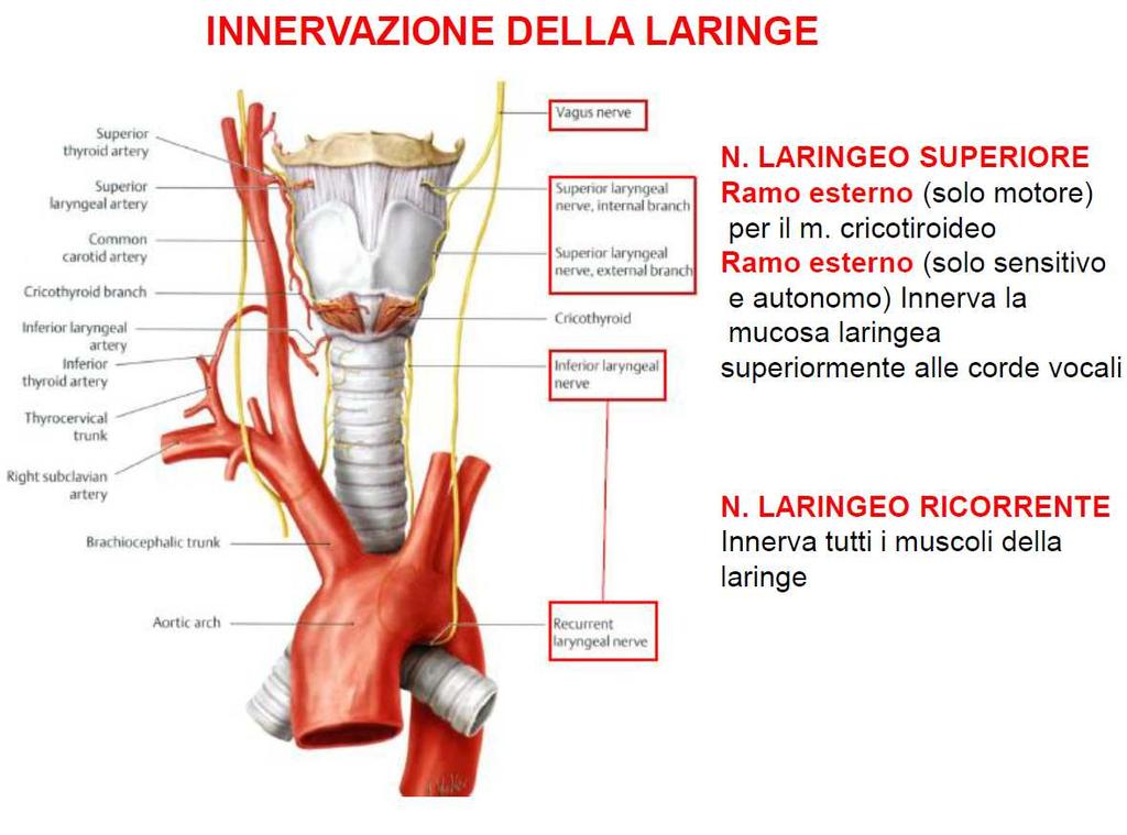 interno