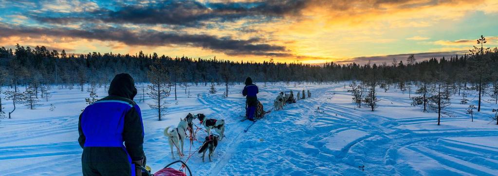 PROGRAMMA DI VIAGGIO [28 DICEMBRE] BENVENUTI IN LAPPONIA! Arrivo all aeroporto di Kemi-Tornio, in Lapponia finlandese.