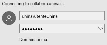 1. ACCESSO AL PORTALE RIPARTIZIONE AFFARI LEGALI Accedere al portale Collabora all indirizzo http://collabora.