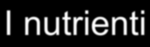 I nutrienti A) MacronutrienD ( che bruciando producono calore: glucidi, proddi, lipidi) B)