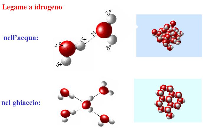 caotici ben definiti Il carattere direzionale del legame H fa sì che H 2 O allo stato