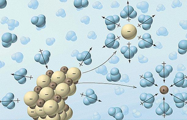 esempio il dipolo della molecola di acqua interagisce con la carica elettrica